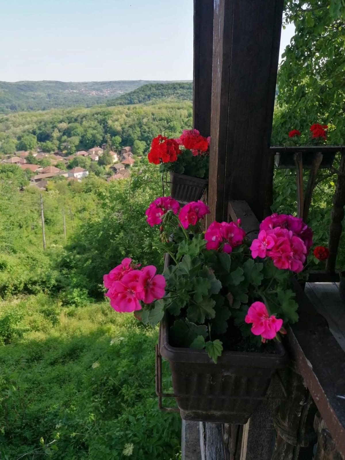 شقة Country House Pivnica Milic Rogljevo المظهر الخارجي الصورة