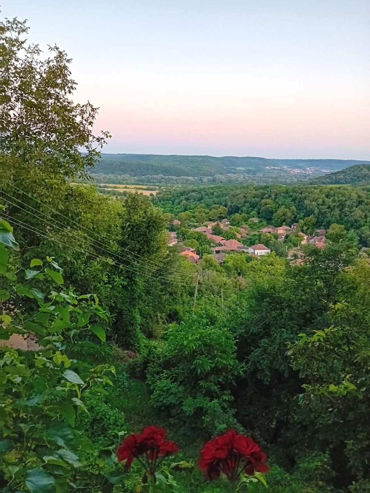 شقة Country House Pivnica Milic Rogljevo المظهر الخارجي الصورة